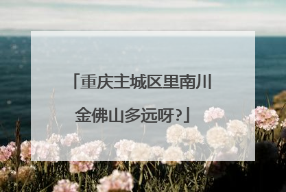 重庆主城区里南川金佛山多远呀?