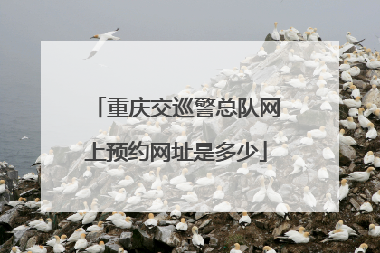 重庆交巡警总队网上预约网址是多少