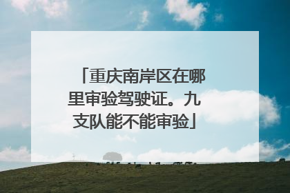 重庆南岸区在哪里审验驾驶证。九支队能不能审验