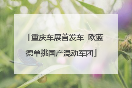 重庆车展首发车 欧蓝德单挑国产混动军团