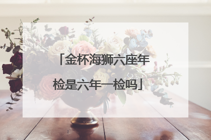 金杯海狮六座年检是六年一检吗