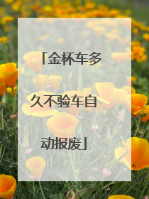 金杯车多久不验车自动报废