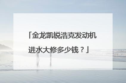 金龙凯锐浩克发动机进水大修多少钱？
