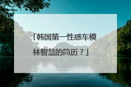 韩国第一性感车模林智慧的简历？