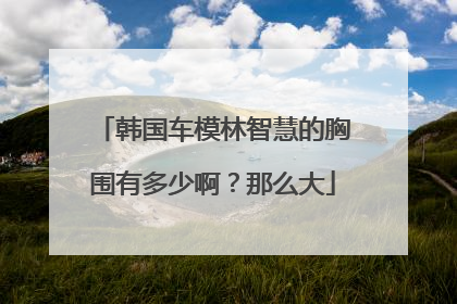 韩国车模林智慧的胸围有多少啊？那么大