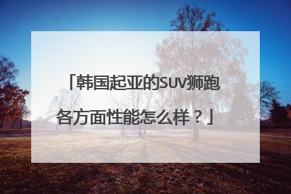 韩国起亚的SUV狮跑各方面性能怎么样？