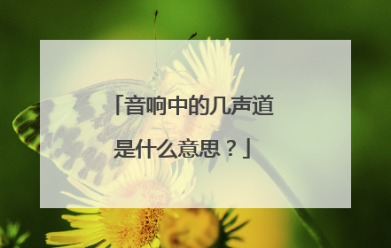 音响中的几声道是什么意思？