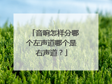 音响怎样分哪个左声道哪个是右声道？
