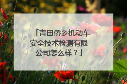 青田侨乡机动车安全技术检测有限公司怎么样？
