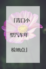 青口小型汽车年检地点