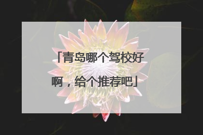 青岛哪个驾校好啊，给个推荐吧