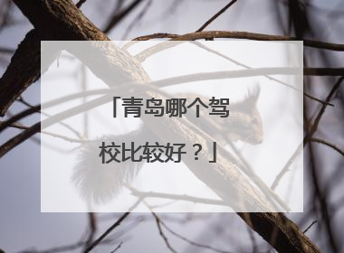 青岛哪个驾校比较好？