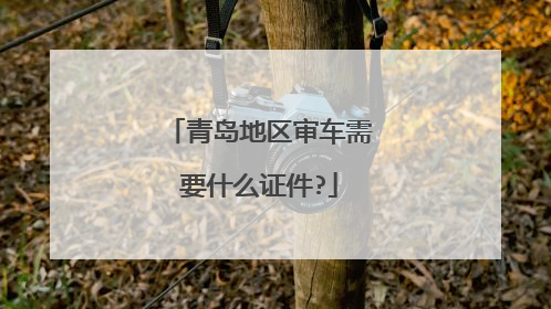 青岛地区审车需要什么证件?