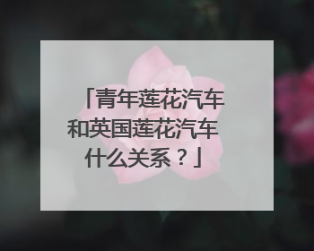 青年莲花汽车和英国莲花汽车什么关系？
