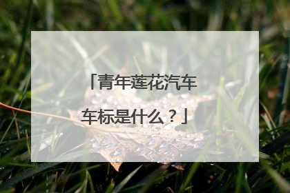 青年莲花汽车车标是什么？