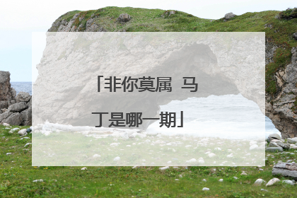 非你莫属 马丁是哪一期