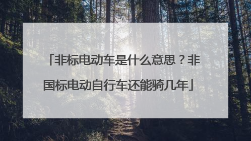 非标电动车是什么意思？非国标电动自行车还能骑几年