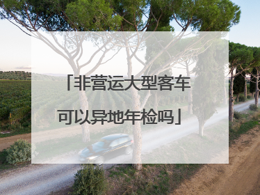 非营运大型客车可以异地年检吗