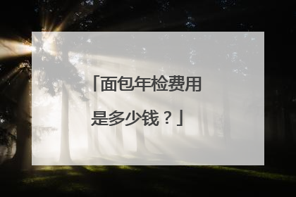 面包年检费用是多少钱？