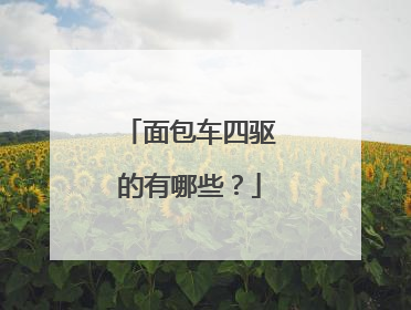 面包车四驱的有哪些？