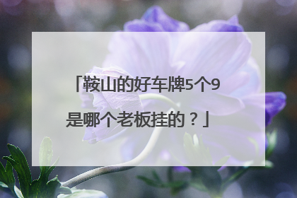 鞍山的好车牌5个9是哪个老板挂的？