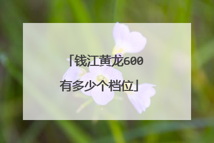 钱江黄龙600有多少个档位