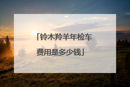 铃木羚羊年检车费用是多少钱
