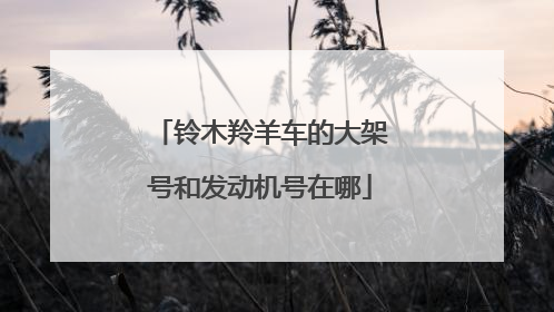 铃木羚羊车的大架号和发动机号在哪