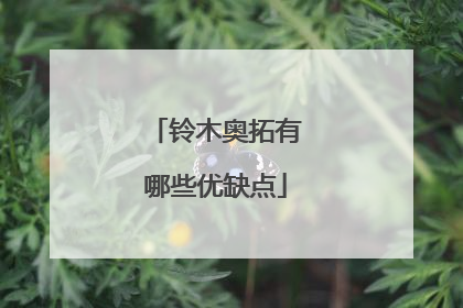 铃木奥拓有哪些优缺点
