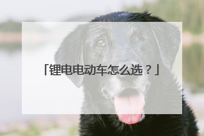 锂电电动车怎么选？