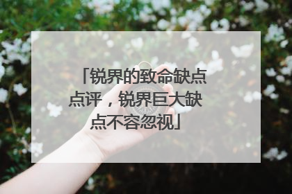 锐界的致命缺点点评，锐界巨大缺点不容忽视