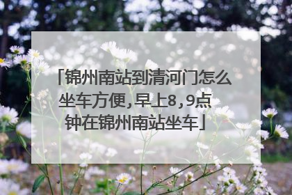 锦州南站到清河门怎么坐车方便,早上8,9点钟在锦州南站坐车