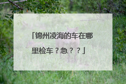 锦州凌海的车在哪里检车？急？？