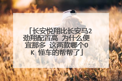 长安悦翔比长安马2劲翔配置高 为什么便宜那多 这两款哪个OK 懂车的帮帮了