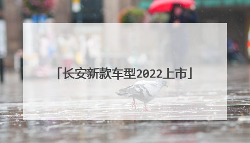 长安新款车型2022上市