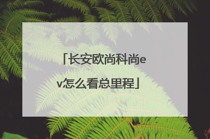 长安欧尚科尚ev怎么看总里程