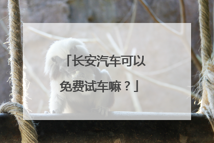 长安汽车可以免费试车嘛？