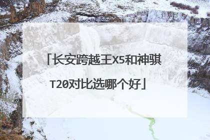 长安跨越王X5和神骐T20对比选哪个好