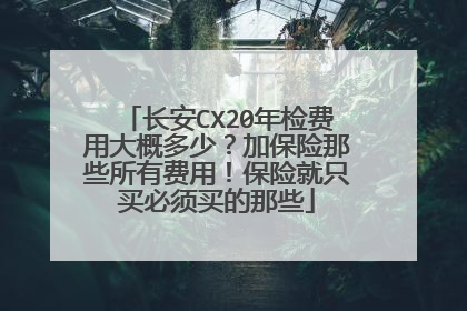 长安CX20年检费用大概多少？加保险那些所有费用！保险就只买必须买的那些