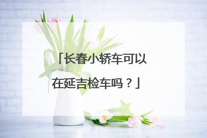 长春小轿车可以在延吉检车吗？