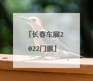 长春车展2022门票