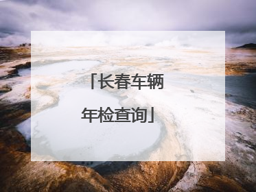 长春车辆年检查询