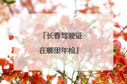 长春驾驶证在哪里年检