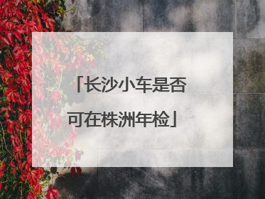 长沙小车是否可在株洲年检
