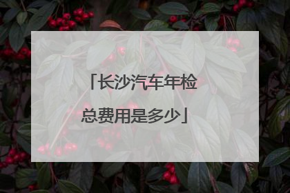 长沙汽车年检总费用是多少