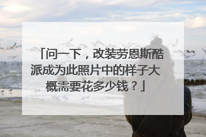 问一下，改装劳恩斯酷派成为此照片中的样子大概需要花多少钱？