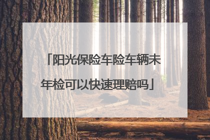 阳光保险车险车辆未年检可以快速理赔吗