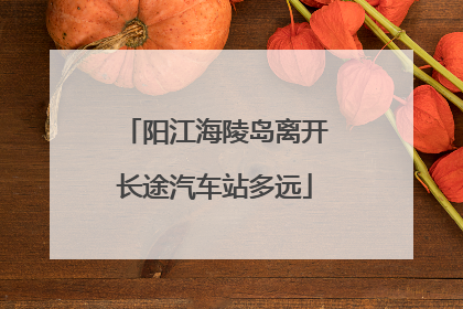 阳江海陵岛离开长途汽车站多远