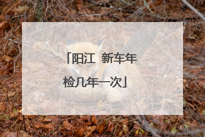 阳江 新车年检几年一次