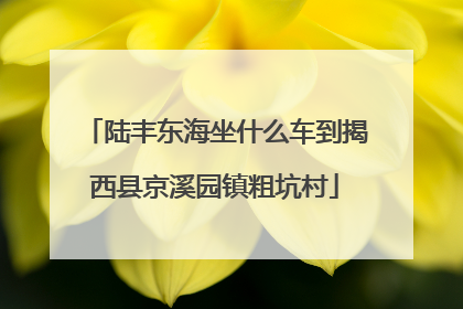 陆丰东海坐什么车到揭西县京溪园镇粗坑村